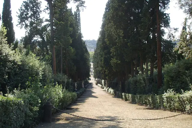 Il Viale dei Cipressi in discesa tra alti alberi